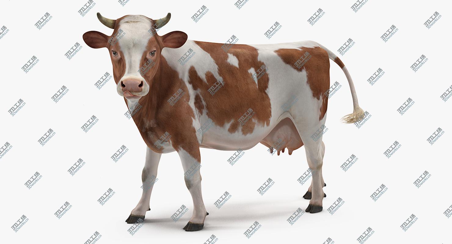 images/goods_img/202104092/3D model Red and White Cow/5.jpg